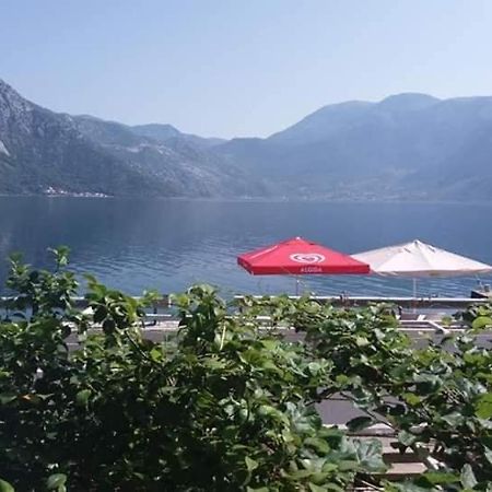 Apartments Dabovic Kotor Dış mekan fotoğraf