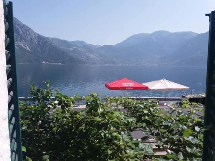 Apartments Dabovic Kotor Dış mekan fotoğraf