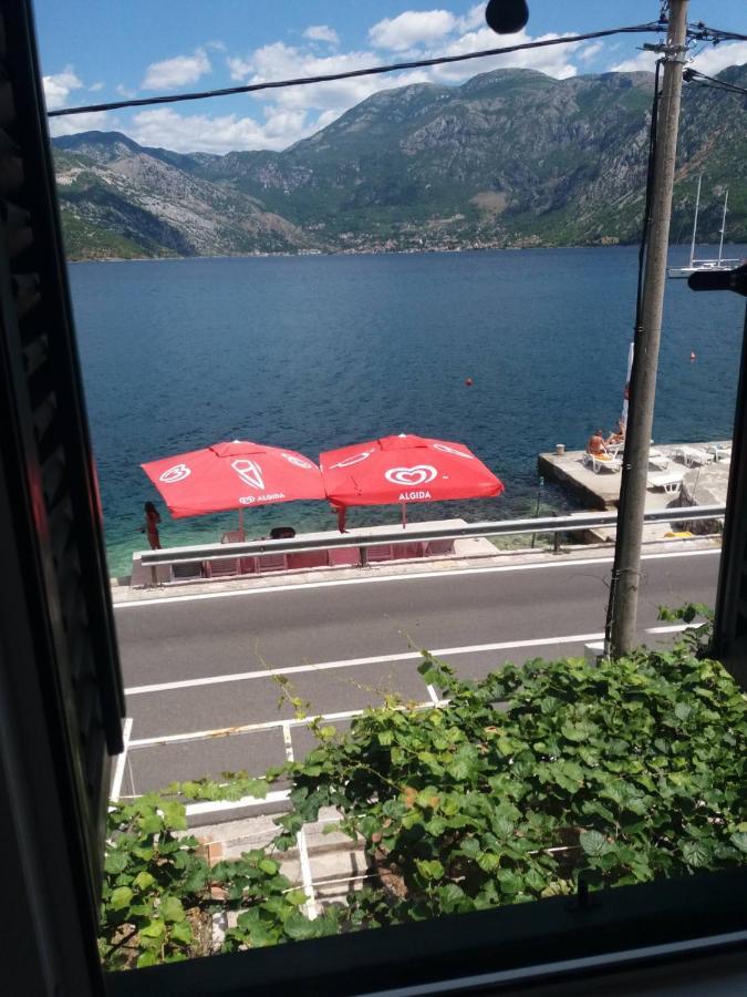 Apartments Dabovic Kotor Dış mekan fotoğraf