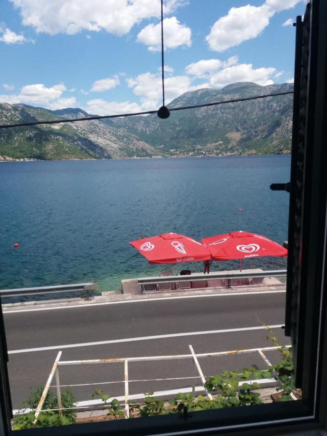 Apartments Dabovic Kotor Dış mekan fotoğraf
