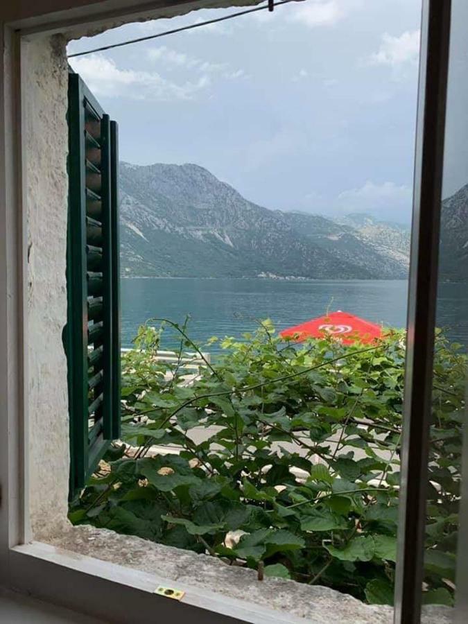 Apartments Dabovic Kotor Dış mekan fotoğraf