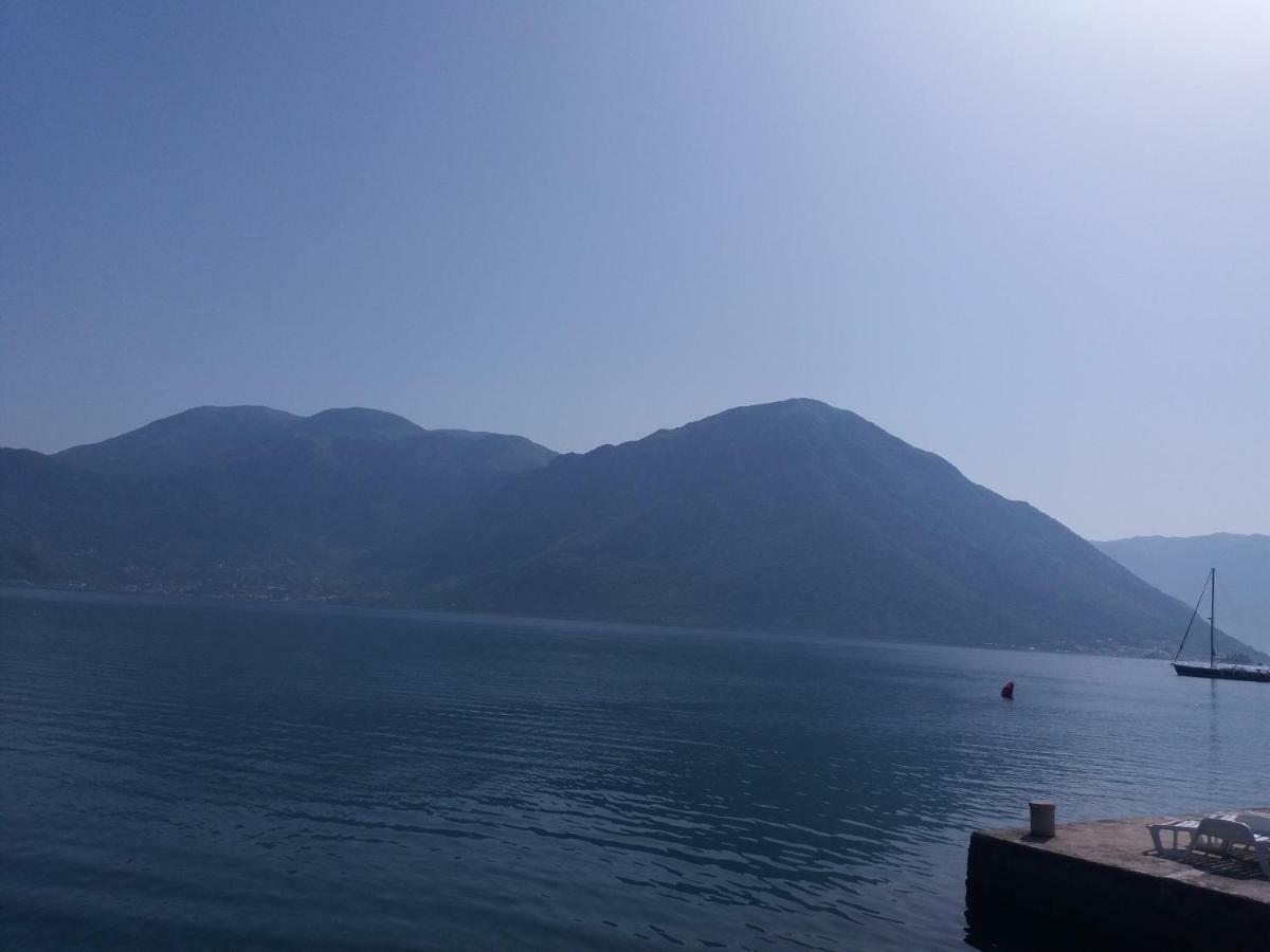 Apartments Dabovic Kotor Oda fotoğraf