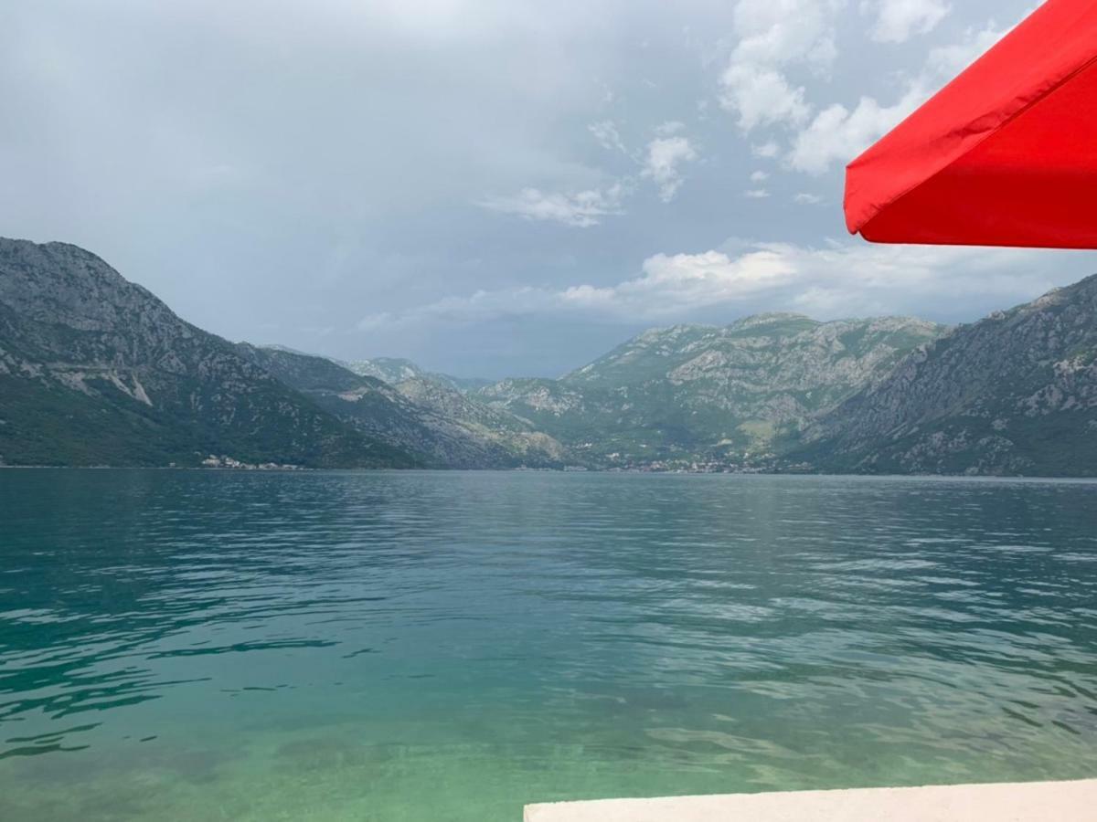 Apartments Dabovic Kotor Oda fotoğraf