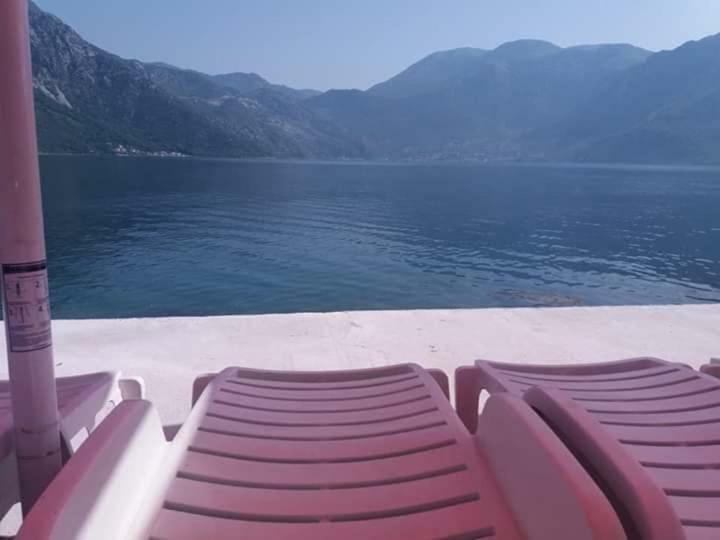 Apartments Dabovic Kotor Dış mekan fotoğraf